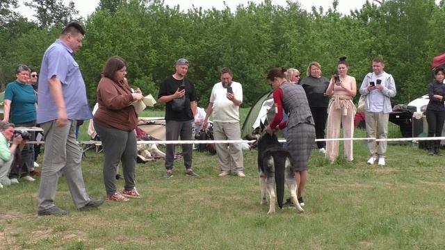 Посадский Страж Иркут