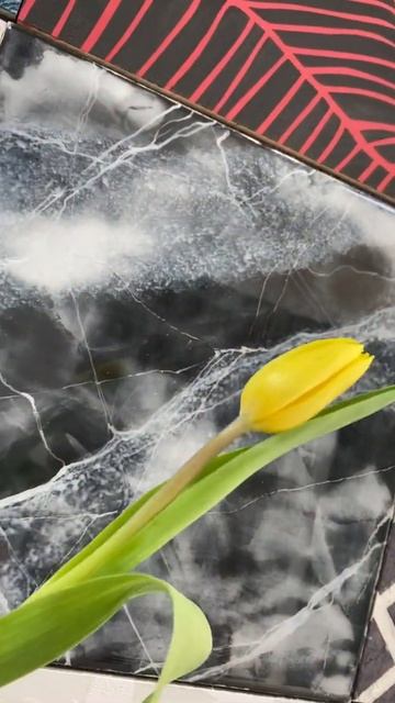 ВЕНЕЦИЯ КЛАССИК. Эффект мрамора с отражением.