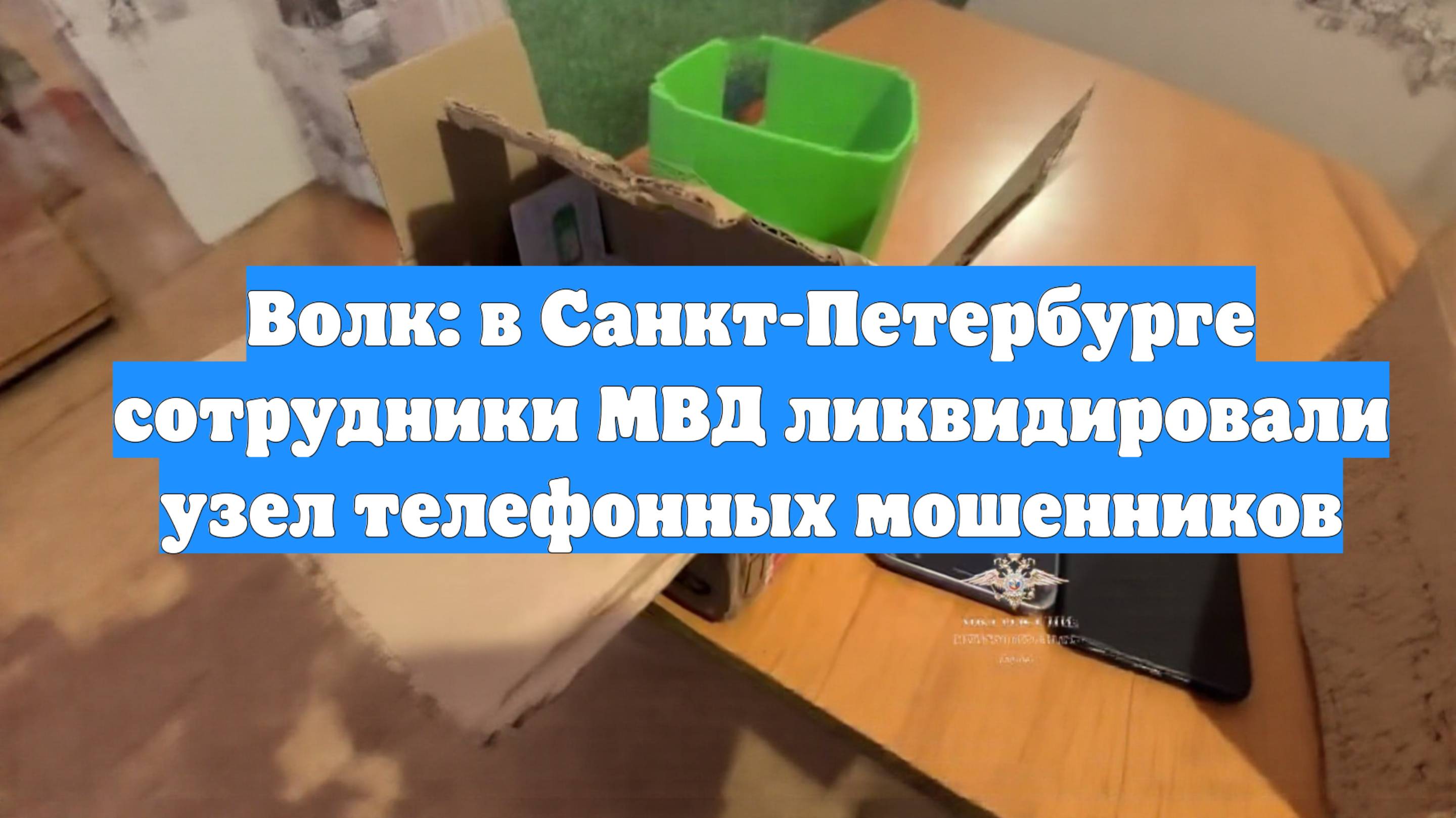 Волк: в Санкт-Петербурге сотрудники МВД ликвидировали узел телефонных мошенников