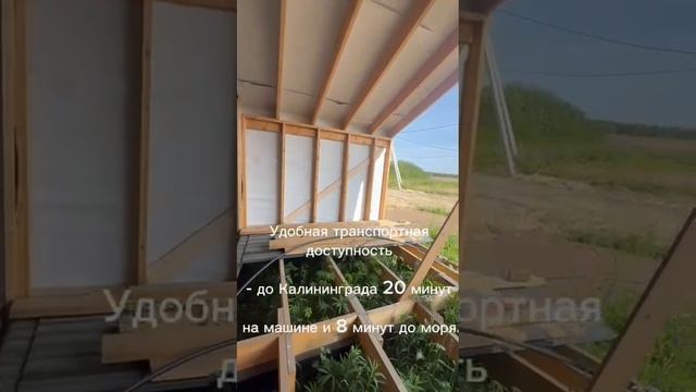 Амбер Дорф 1