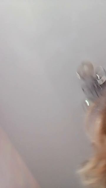 Я бабушка кошатница