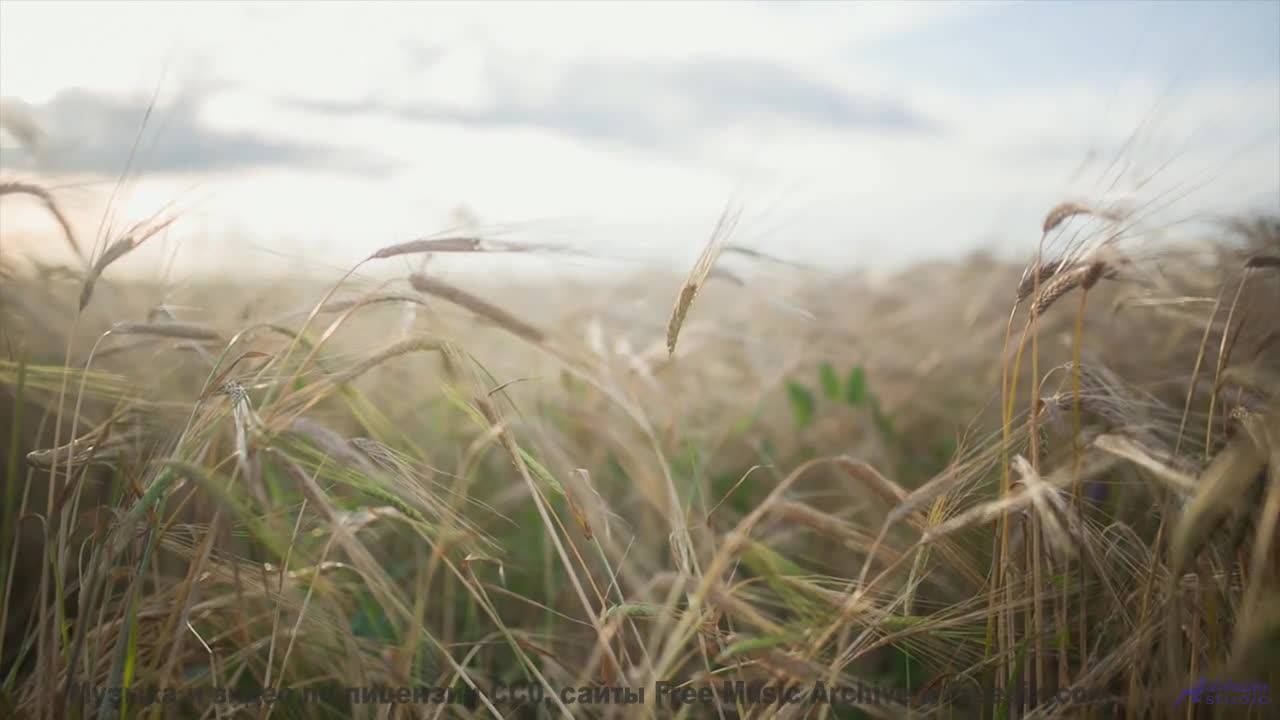 Музыка, которая ПРИВЛЕКАЕТ 'них'. - In-Check -- Ketsa -- Collective Consciousness