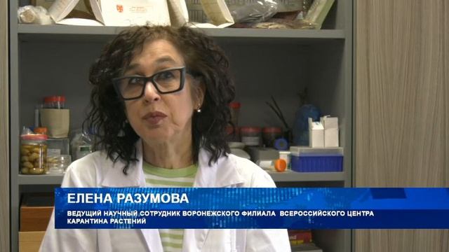 О вредных и полезных свойствах наших аборигенных растений рассказали специалисты ФГБУ «ВНИИКР»