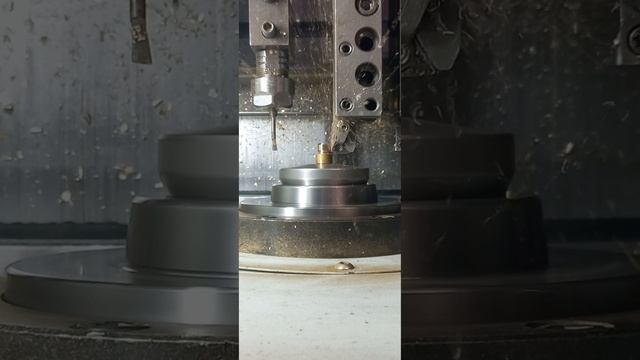 1000025525.mp4
