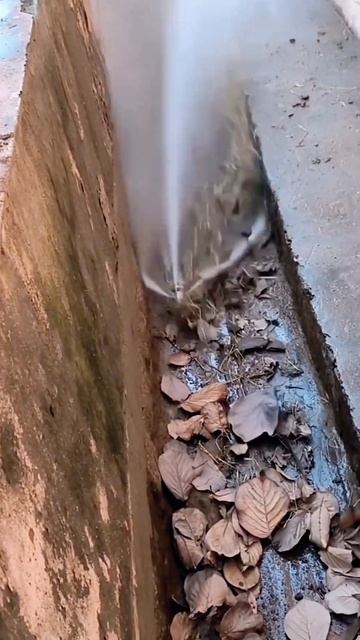 Специальный очистной патрон
