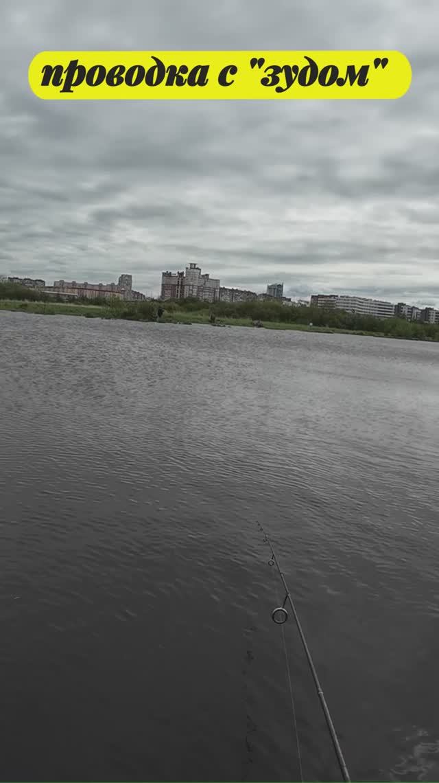 #мормышинг #рыбалка | Проводка "ЗУД" |