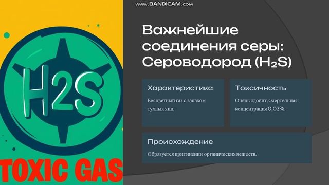 Сера и ее соединения