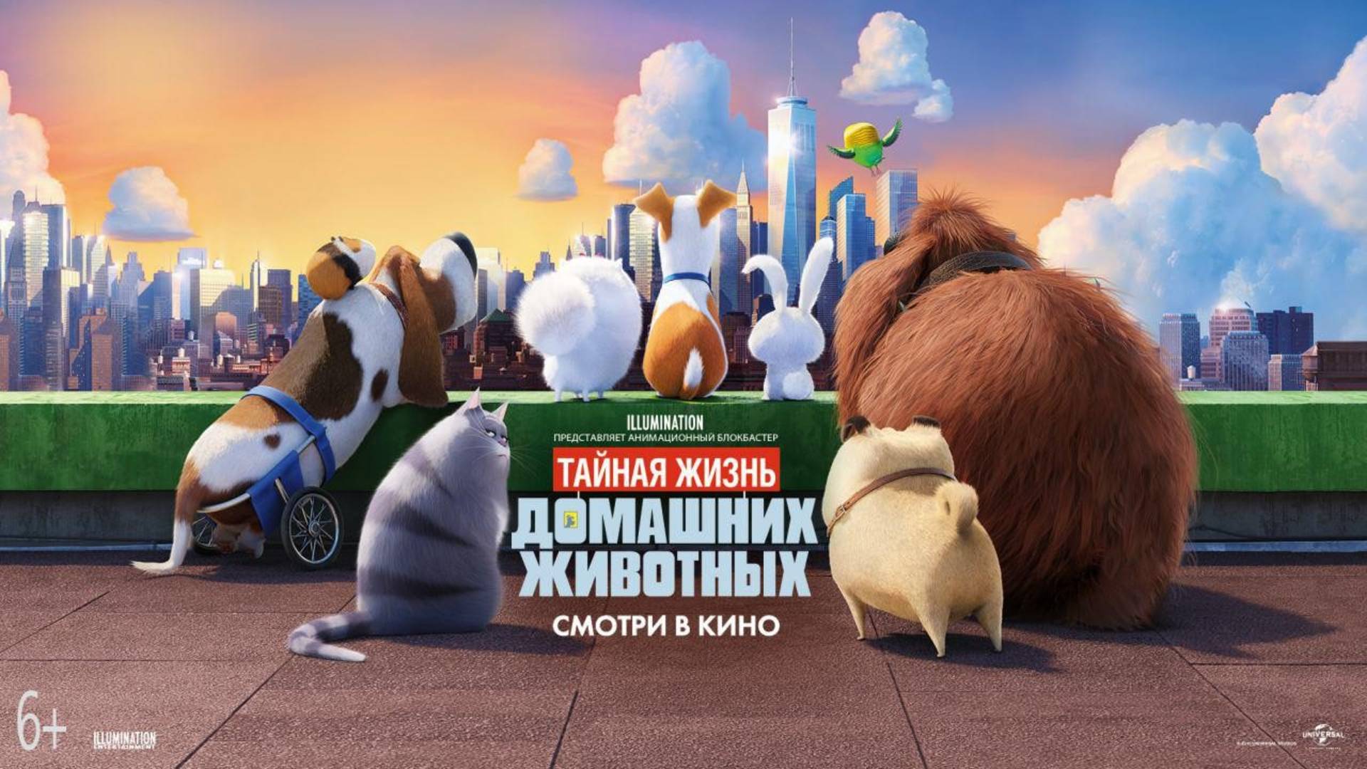 Тайная жизнь домашних животных - мультфильм