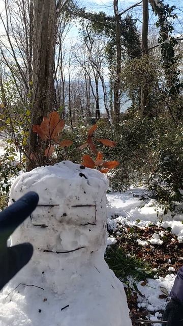 в Сочи
