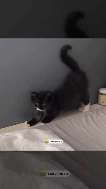 Потянулись не проснулись