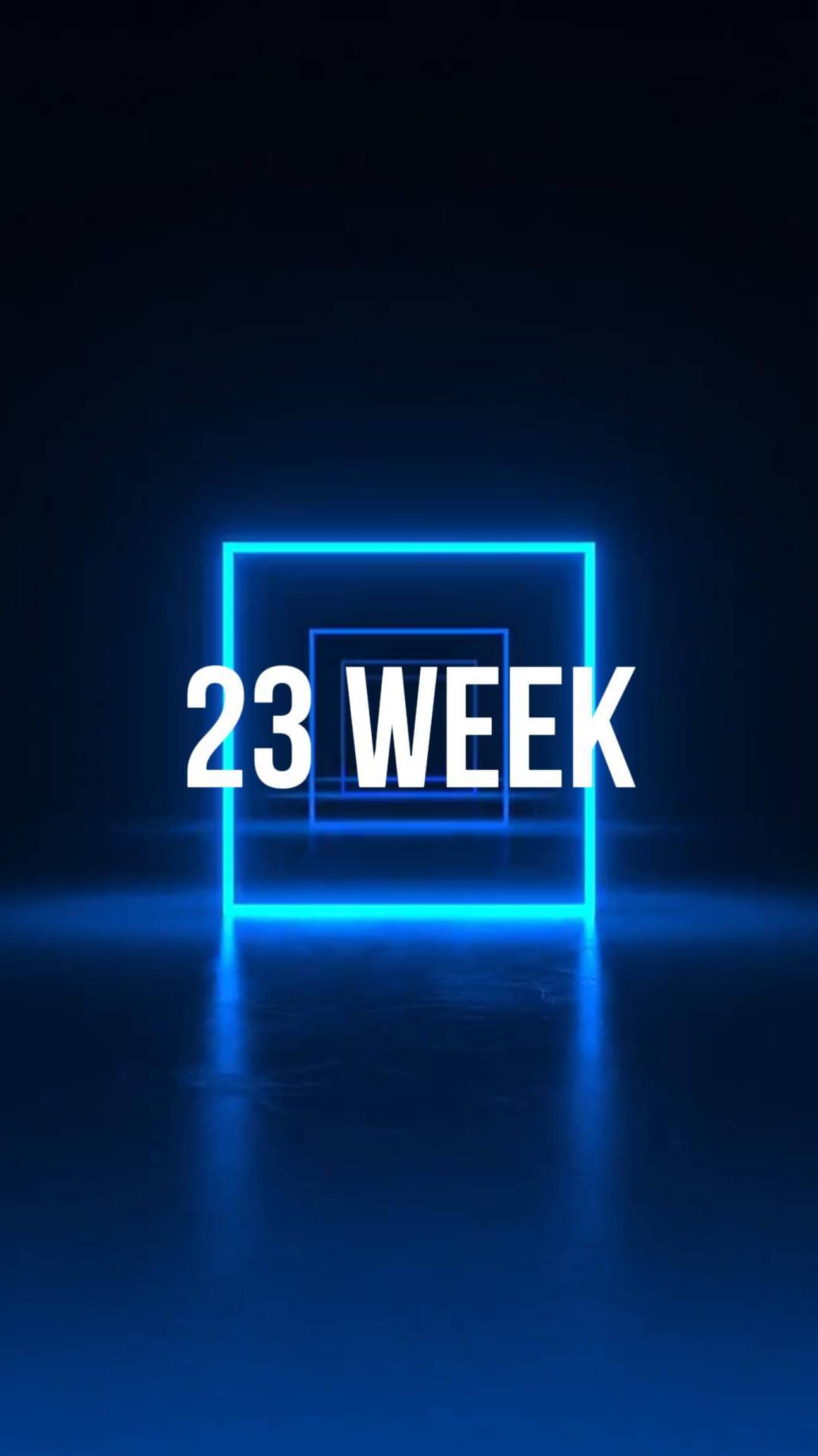 23 week /25