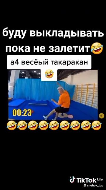 А4 весёлый таракан