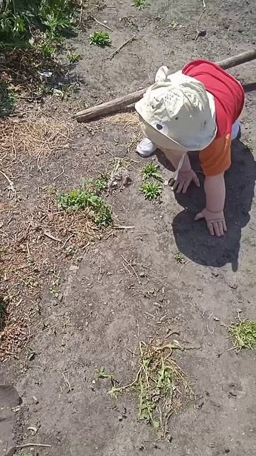 Не ищет лёгких путей)