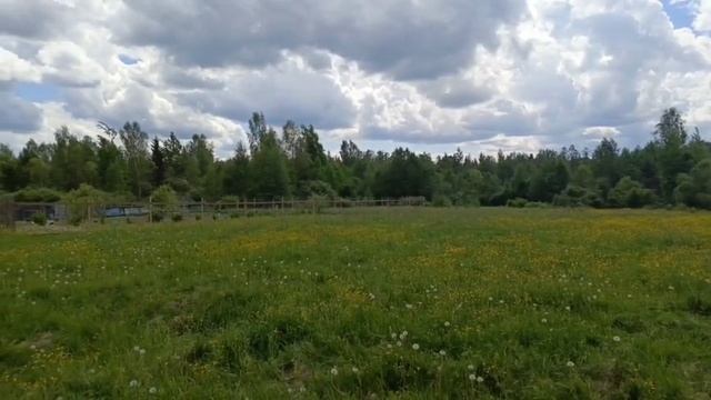 Тверская область, село Красная Гора, зем участок ИЖС
