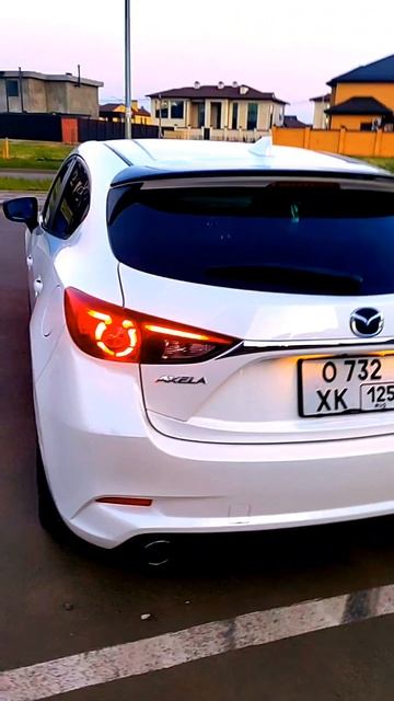 petal_20250602_073348.mp4