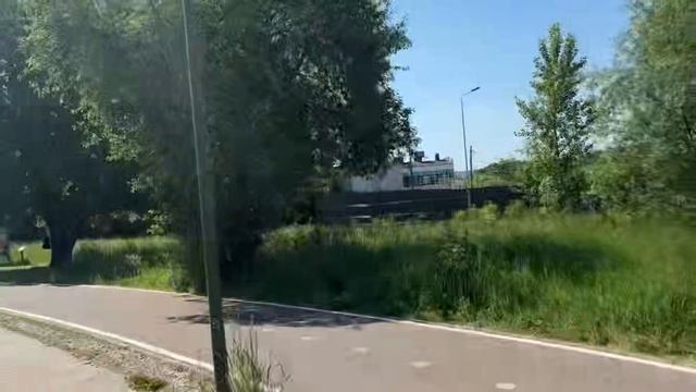 Лесное Одиночество: Только Природа и Я