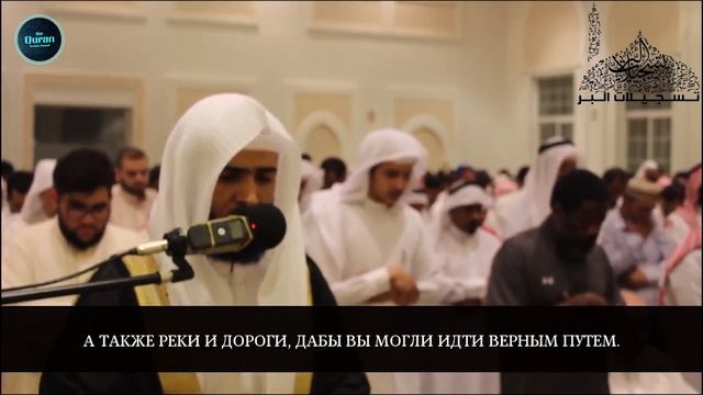 Сальман Аль-Утайби -Таравих-Намаз  Очень красивое чтнение Корана  Сура 16 «Пчёлы» 1-2(720P