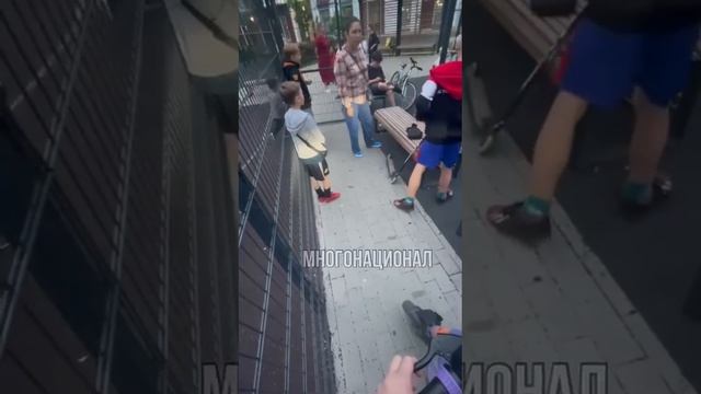 Новая россиянка в Новой Москве избила чужого ребёнка.