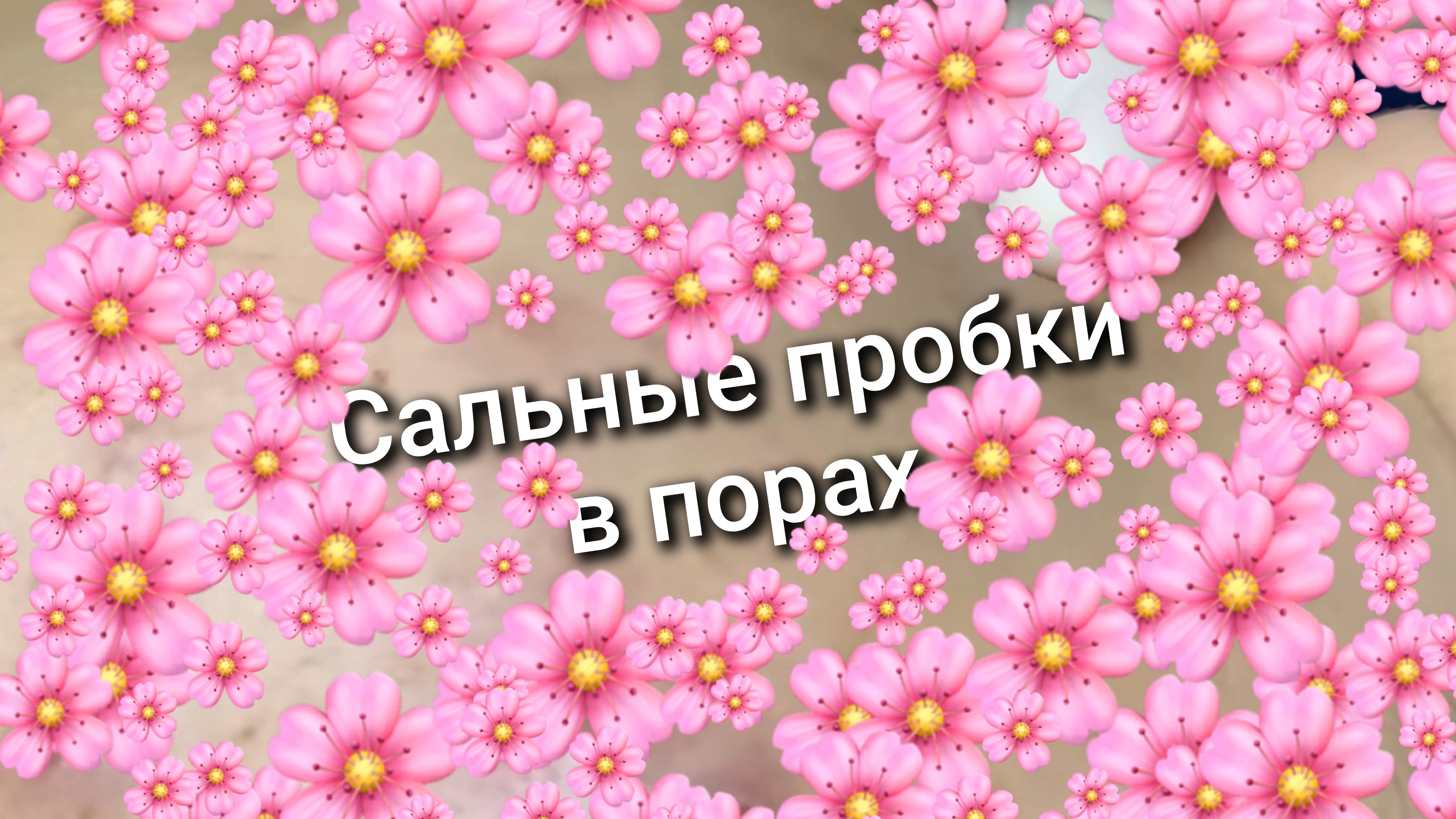 Сальные пробки в порах