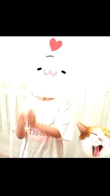Ролик