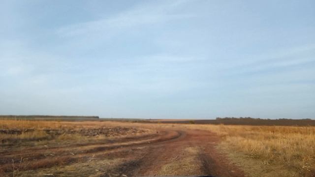 Опустевший посёлок Константиновский, Романовский район (продолжение)