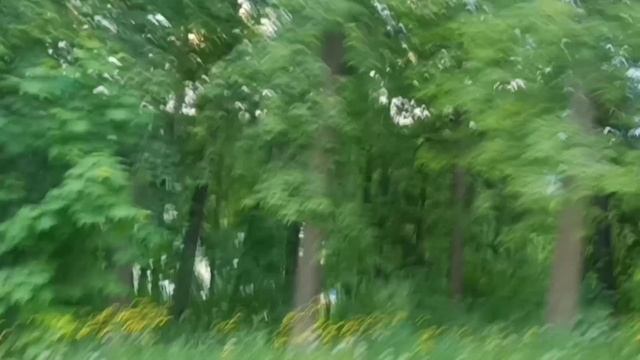 Природа Башкирии. Дорога в гору.mp4