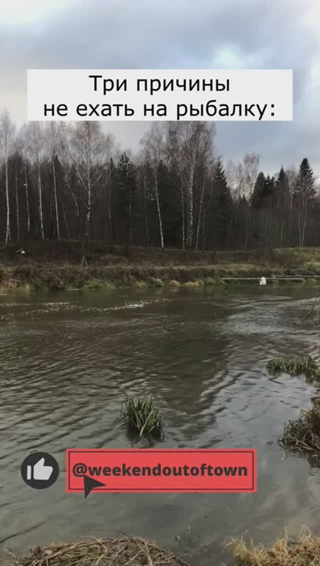 ТРИ ПРИЧИНЫ НЕ ЕХАТЬ НА РЫБАЛКУ | ПРИКОЛ 🐠🤣 #fishing #рыбалка #юмор #shorts #рыба #приколы #рыбак