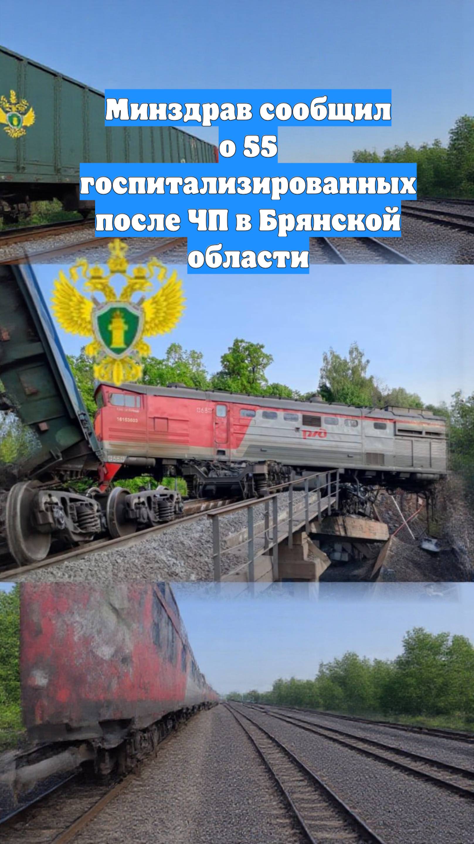 Минздрав сообщил о 55 госпитализированных после ЧП в Брянской области