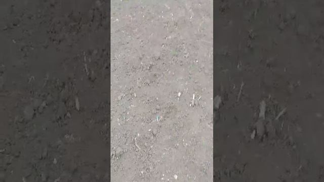 уроды