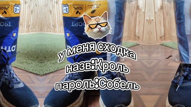 Сходка