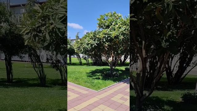 Сочи отель Бархатные сезоны...