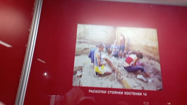 раскопки мамонтов 1 часть