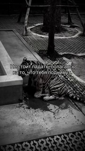 Вставай