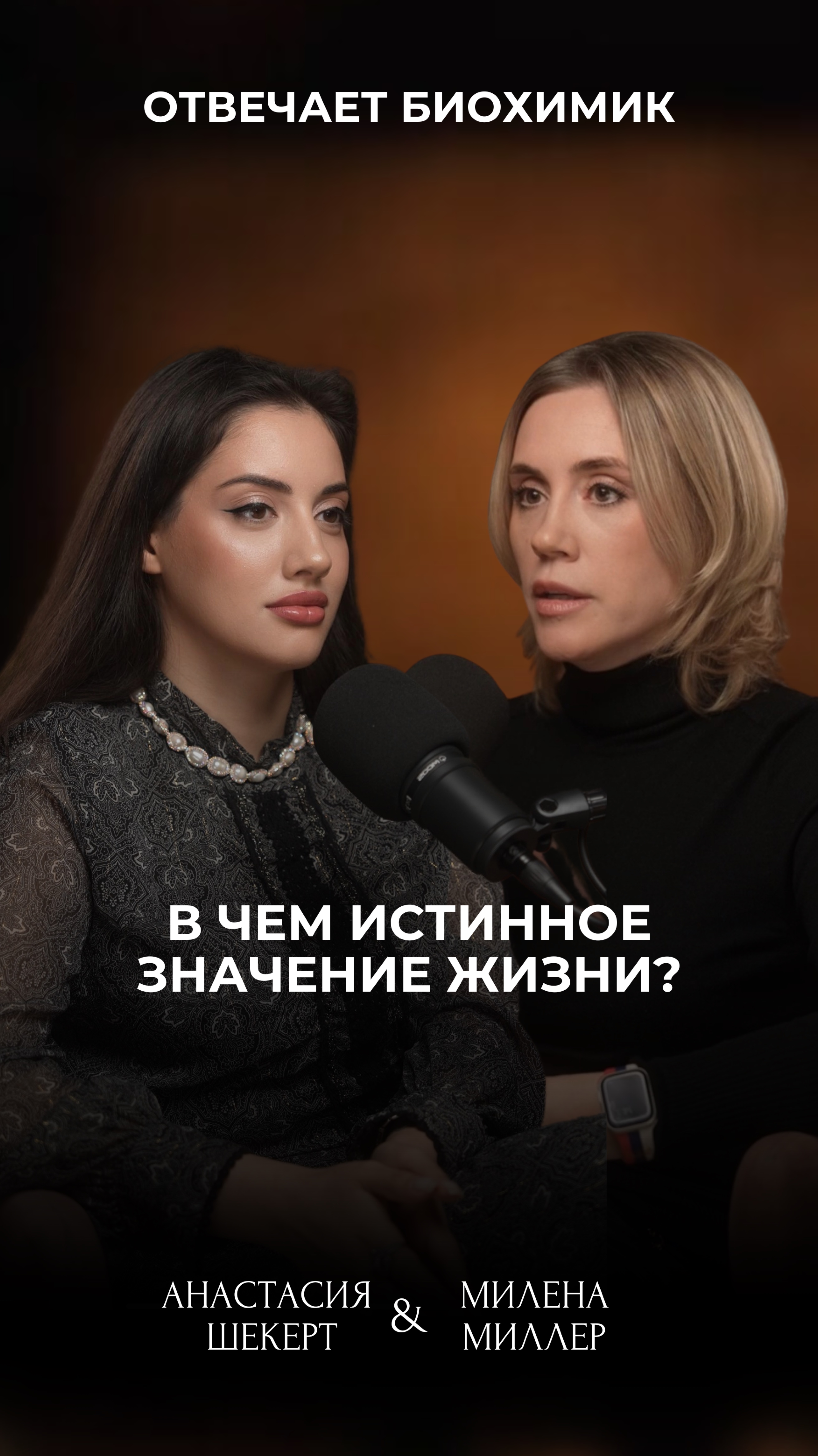 В чем смысл жизни? 🤔