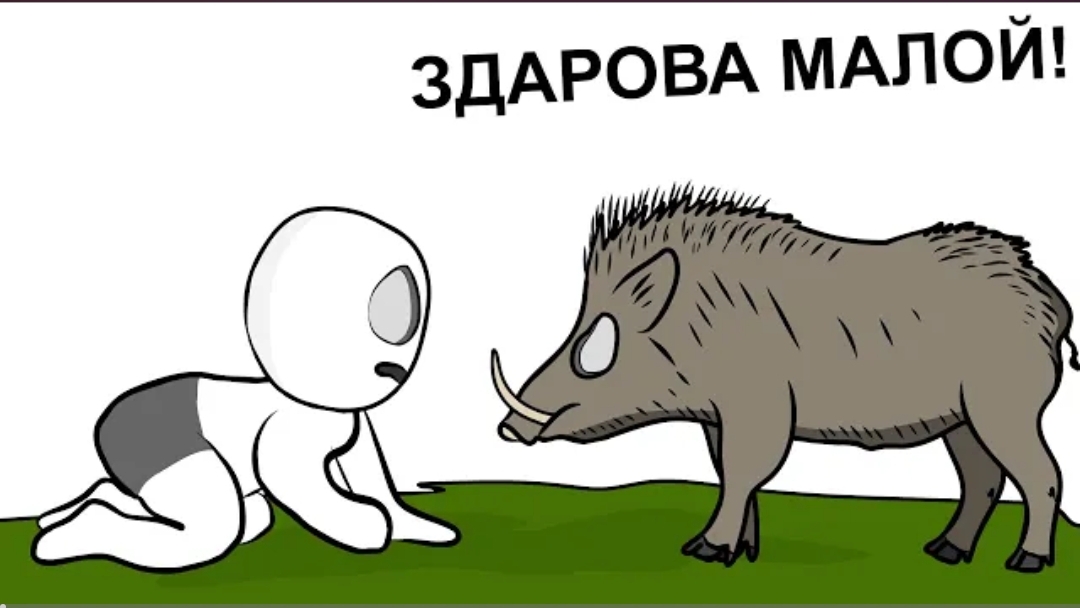 Как я гонялся за КАБАНОМ... (анимация)