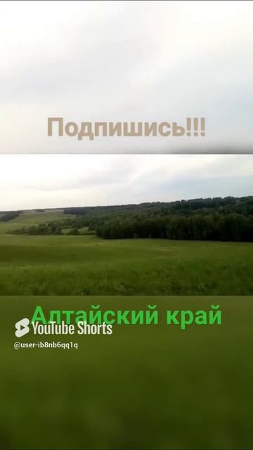 scene_output.mp4