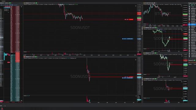 6-Soonusdt-Short-Profit-02-06-2025-09-17-01