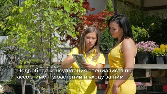 Садовый центр Ромашкино Парк