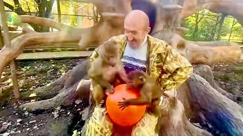 Такой красивый мяч был РАЗОРВАН Люськой в клочья за считанные минуты, а отобрать