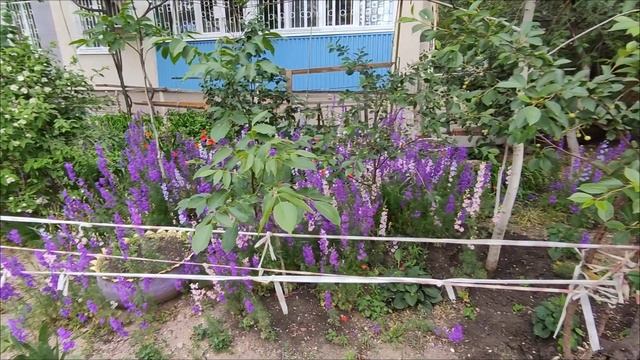 Мариуполь. Ещё один год спустя