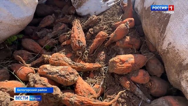 Как бороться с несанкционированными свалками в Крыму