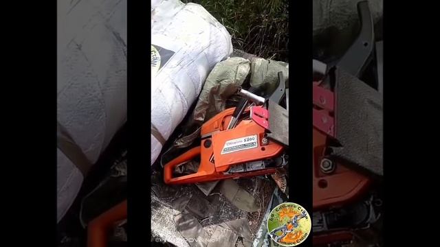 1000168338.mp4