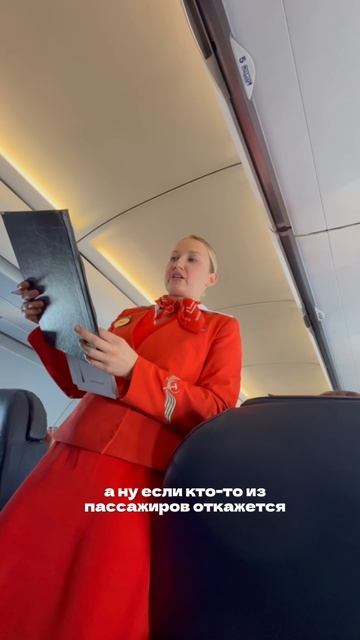 #стюардесса