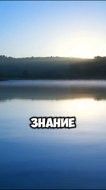 Важность мудрости #библия #Бог #мудрость #важность