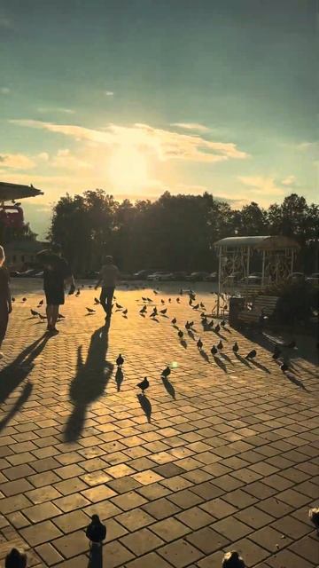 #путешествие #боровск #калужскаяобласть #россия #путешествиепороссии