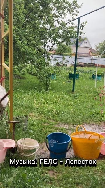 Какая погода в начале лета у вас? ГЕЛО - Лепесток #ГЕЛО #погода