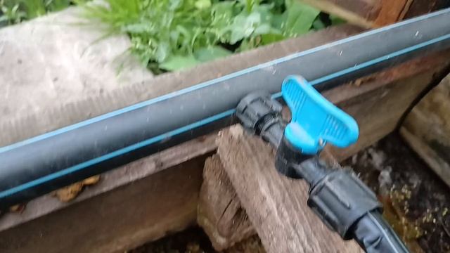 Обзор капельного полива