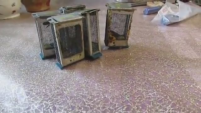 ответы на вопросы - какой вес у неплодной свищевой матки, произвожу бонитировку маток , 2.06.2025