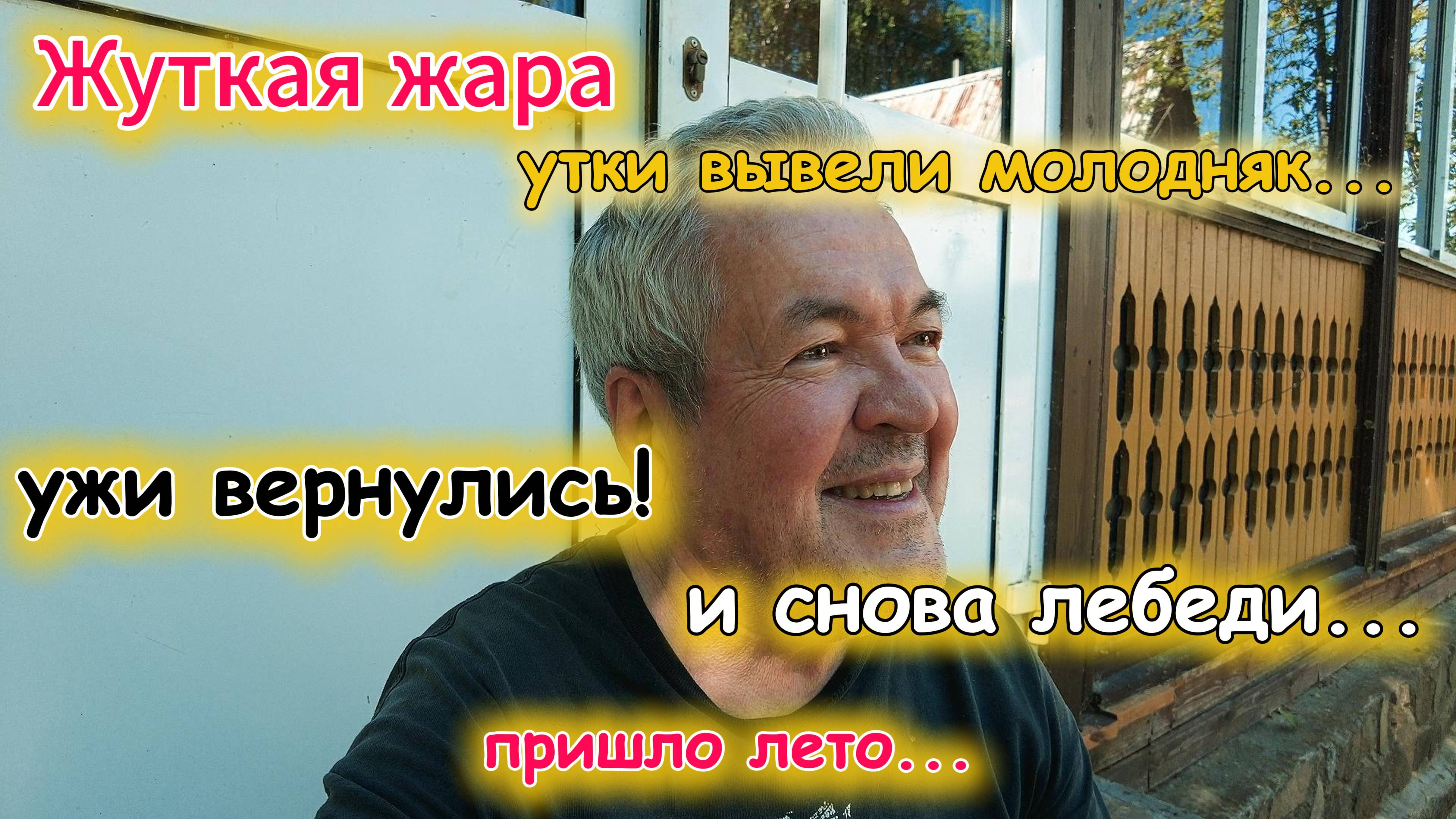 Дачные истории - уже лето 1 июня 2025 г
