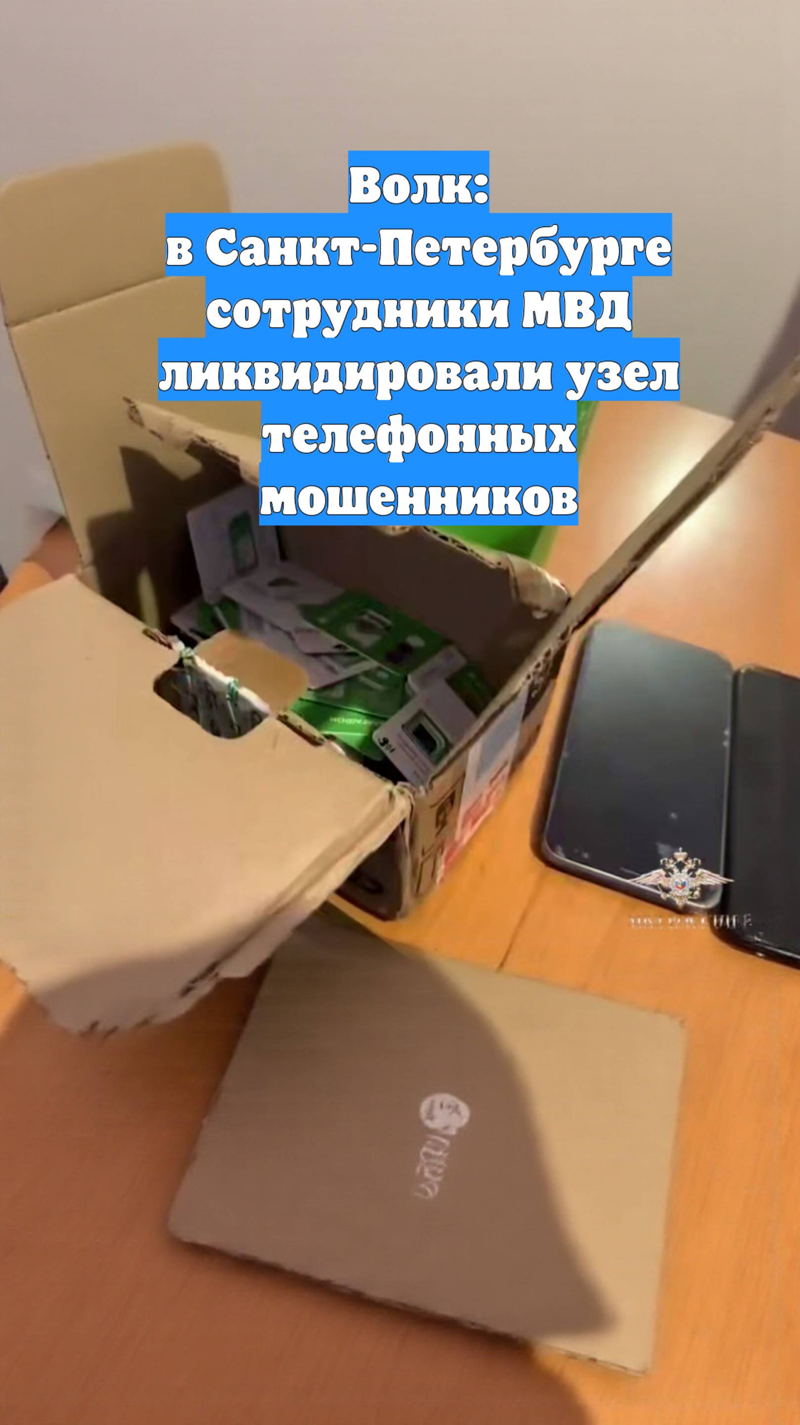 Волк: в Санкт-Петербурге сотрудники МВД ликвидировали узел телефонных мошенников